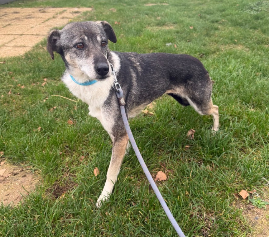 Photo #1 de Milochka