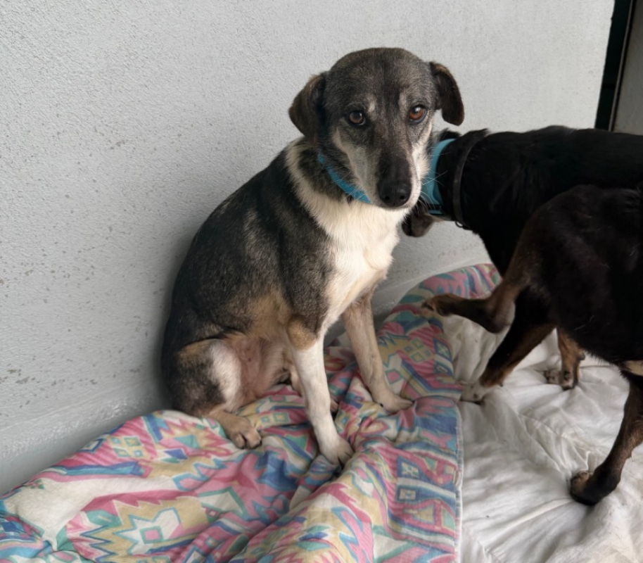 Photo #2 de Milochka