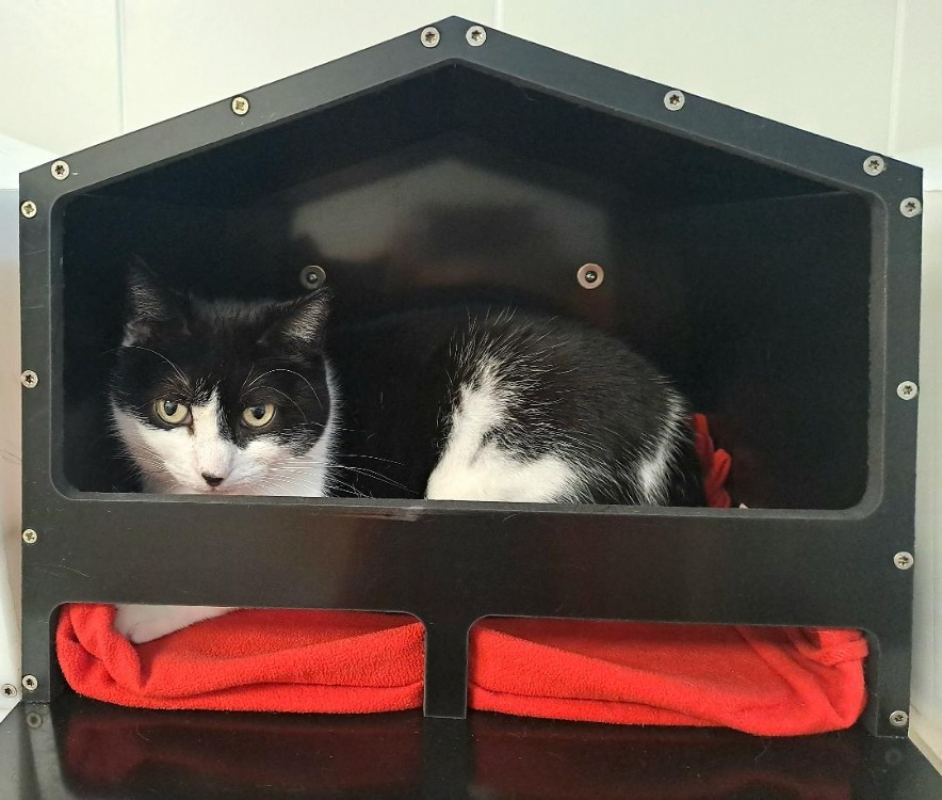 Photo #4 de Duchesse