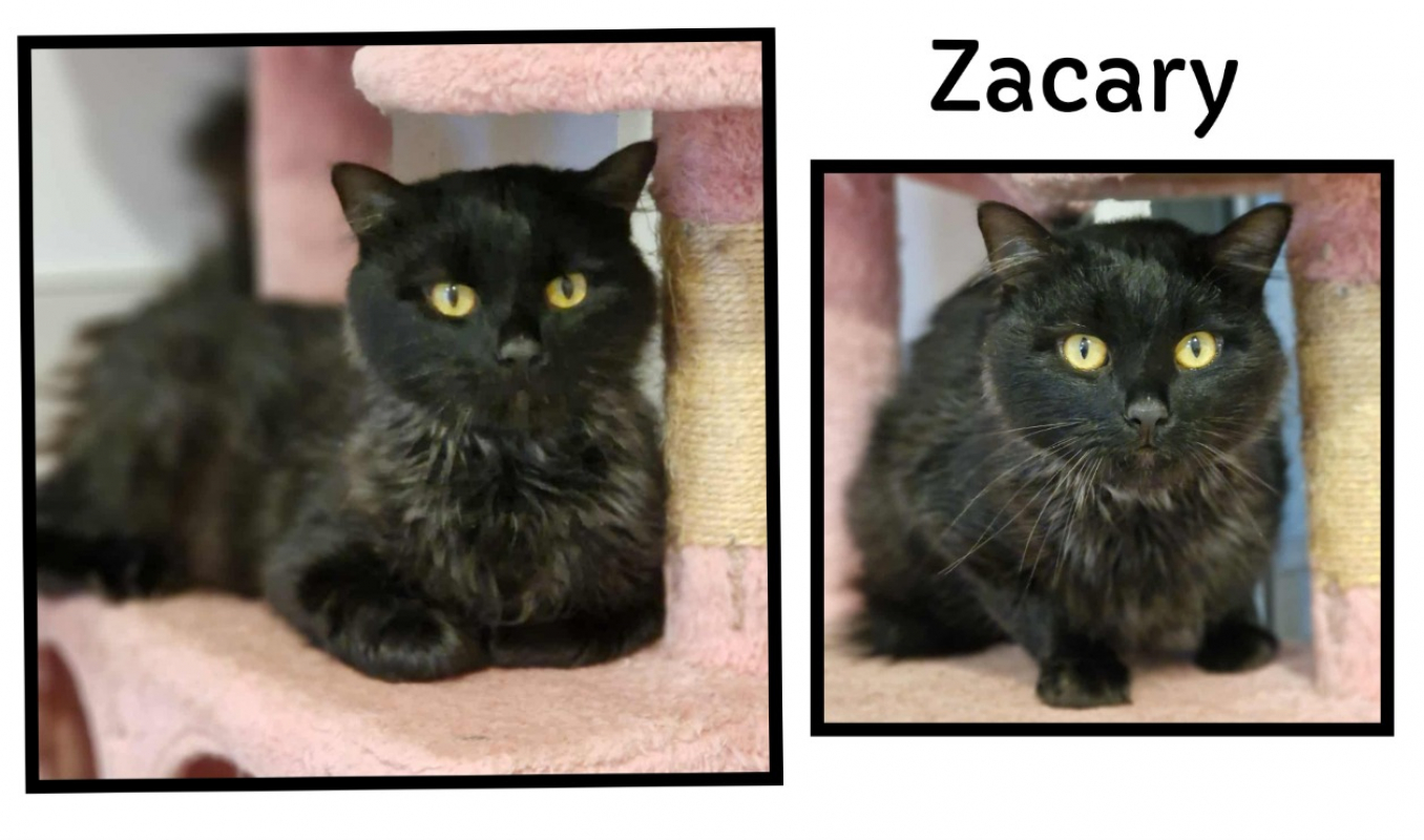 Photo de Zacary