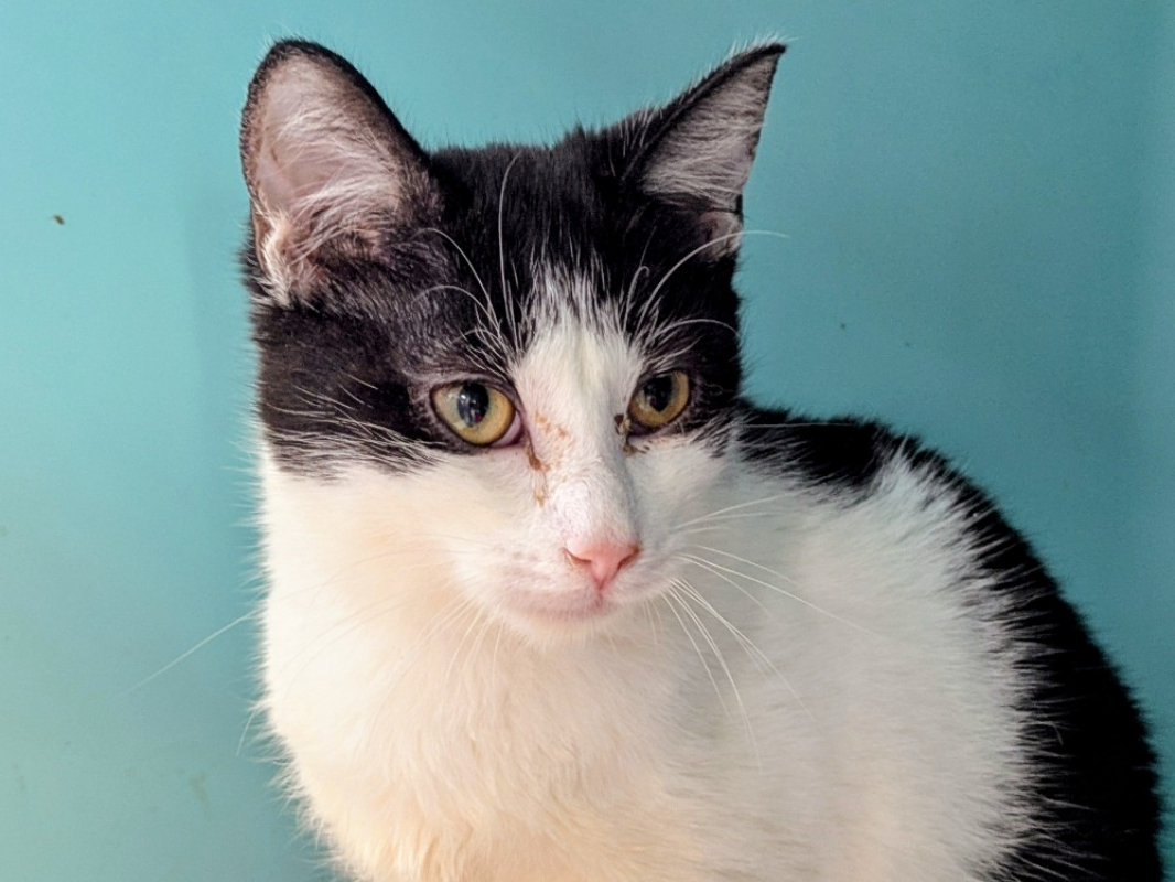 Photo #3 de Arlo et aladin