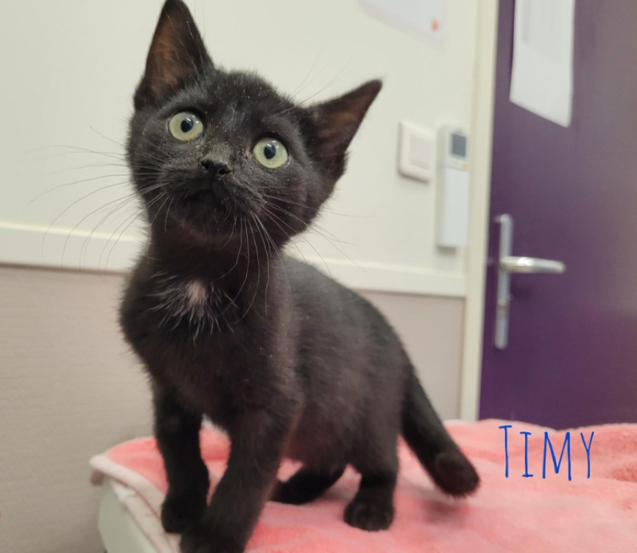 Photo de Timy