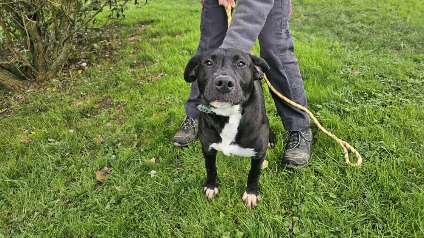 Photo #1 de Valentin