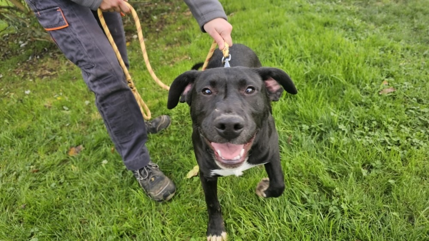 Photo #2 de Valentin