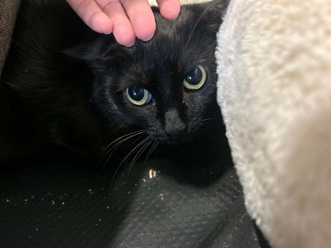 Photo #2 de BaisÉvolÉ