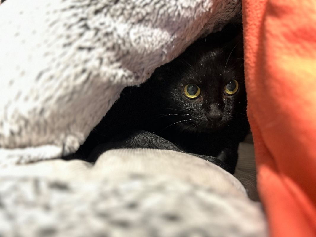 Photo #3 de BaisÉvolÉ