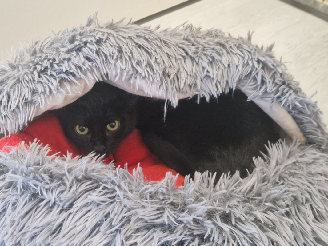 Photo #1 de BaisÉvolÉ