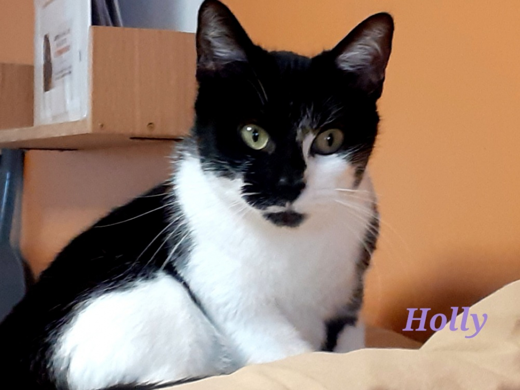 Photo de Holly