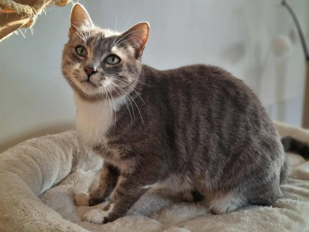 Photo #1 de Victoria