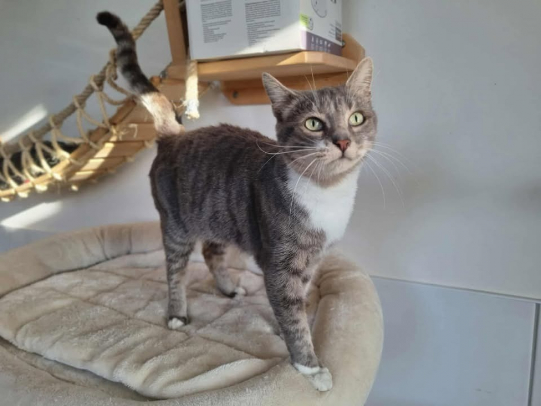 Photo #2 de Victoria