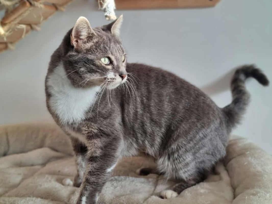 Photo #3 de Victoria