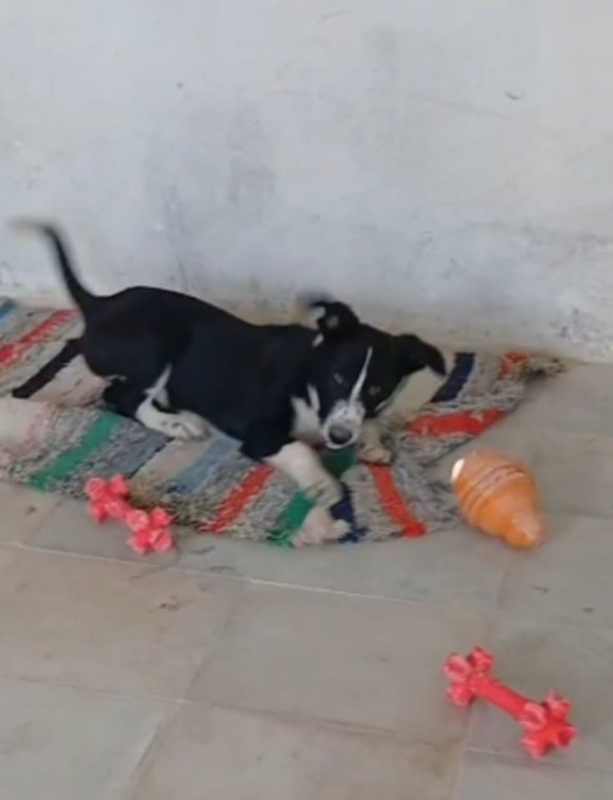 Photo #6 de Thelma