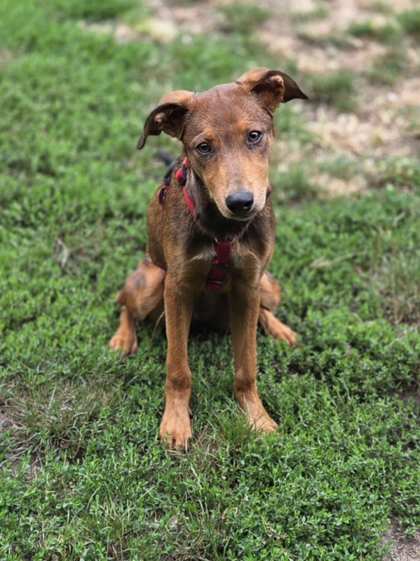 Photo #1 de Angelina 