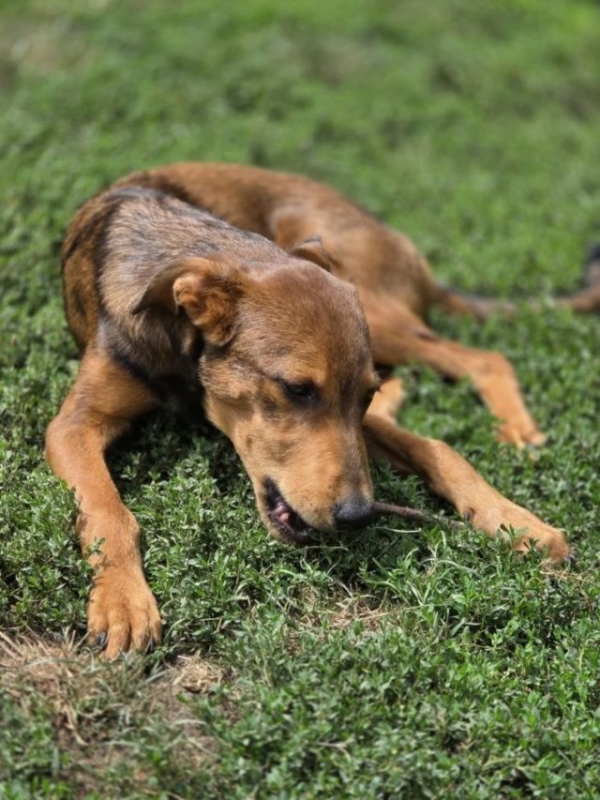 Photo #2 de Angelina 