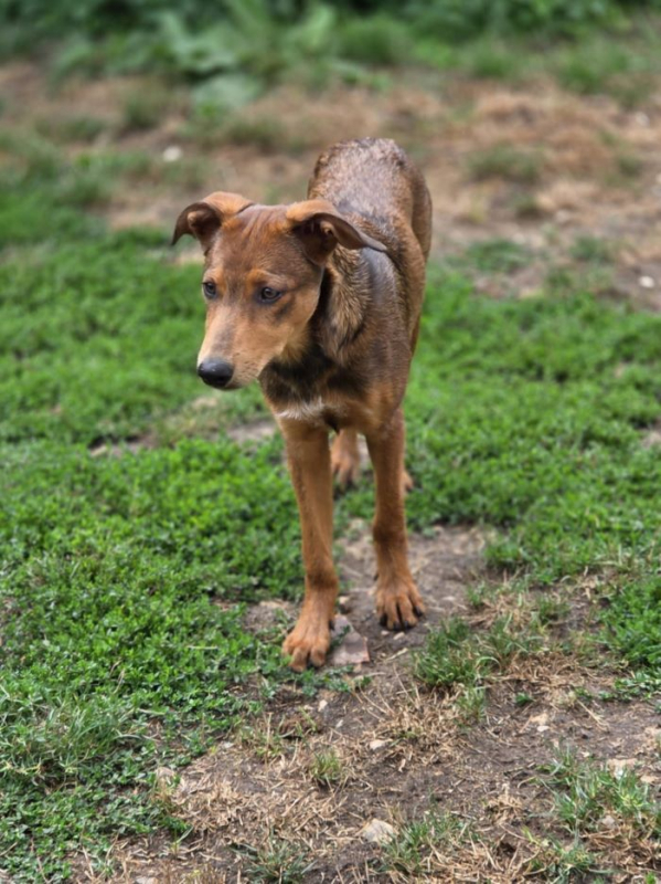 Photo #3 de Angelina 