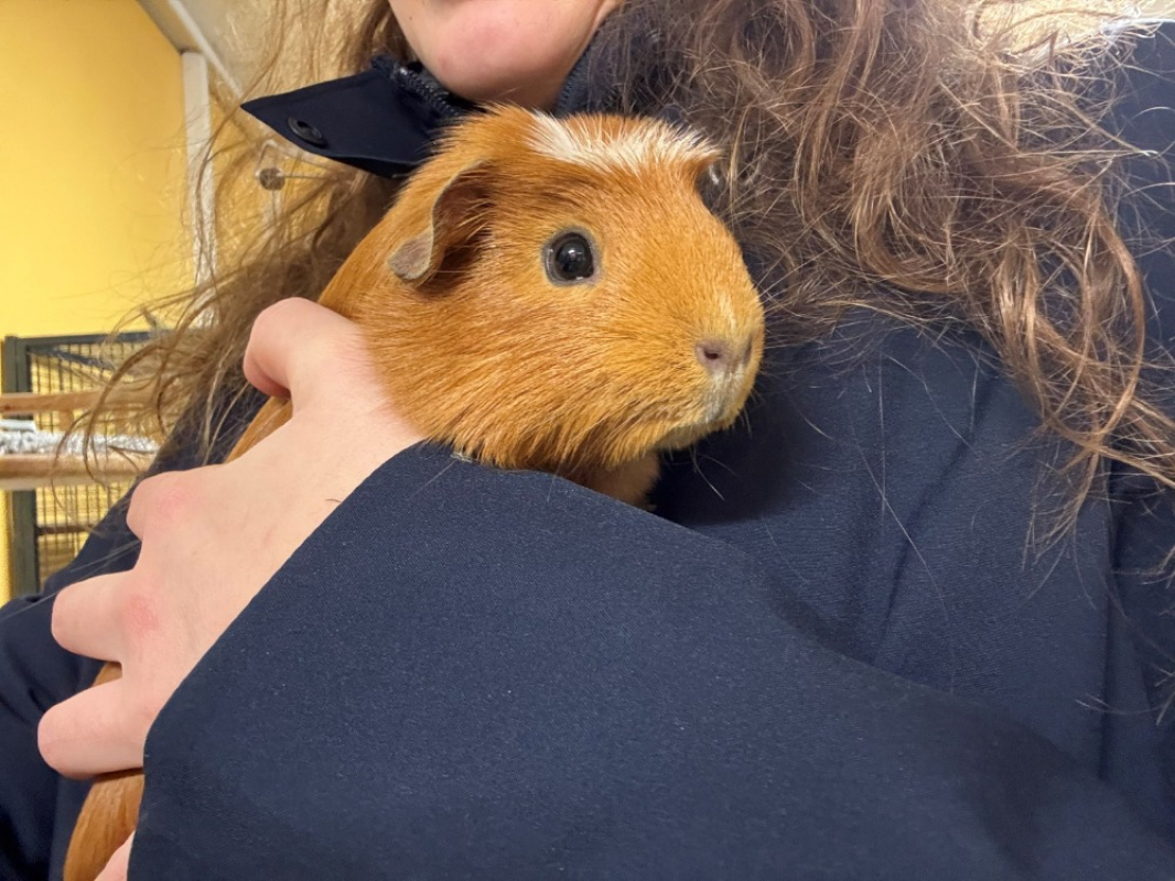 Photo #7 de Pouic pouic