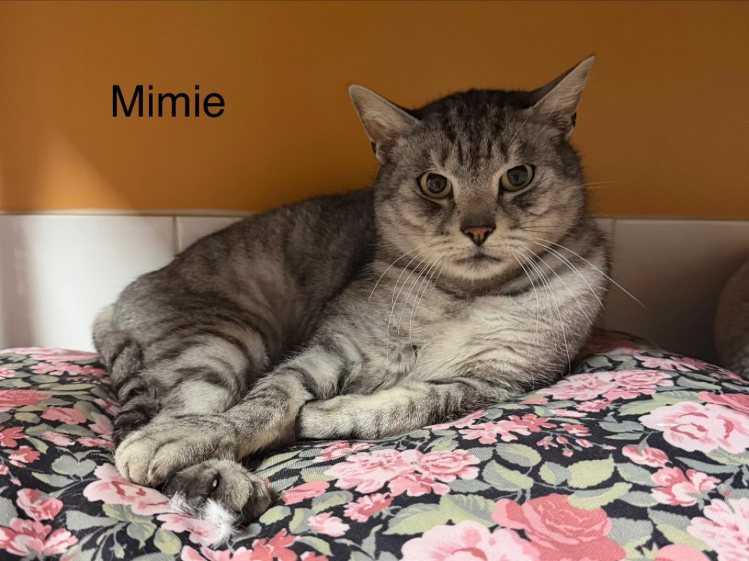 Photo #2 de Mimie