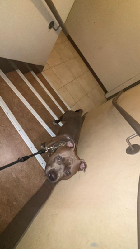 Photo #2 de Ulrikaine