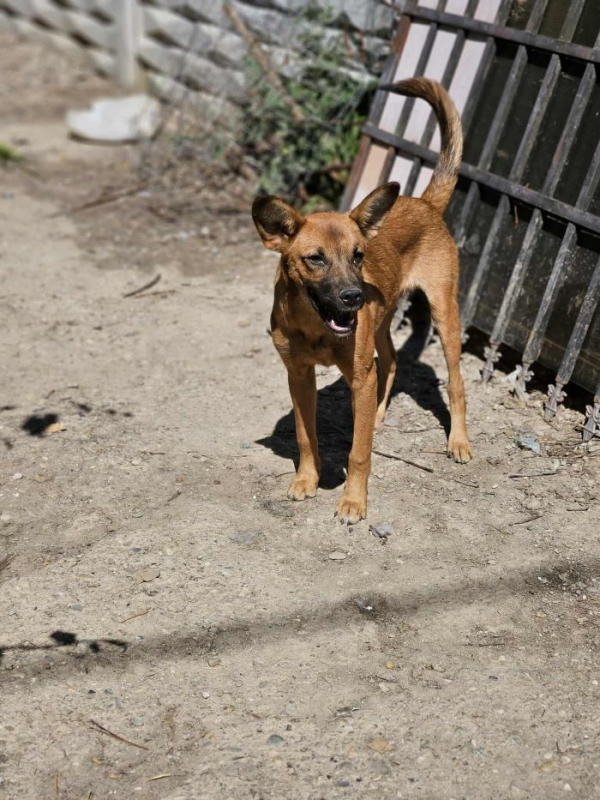 Photo #1 de Toubisou 