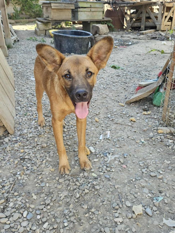 Photo #2 de Toubisou 