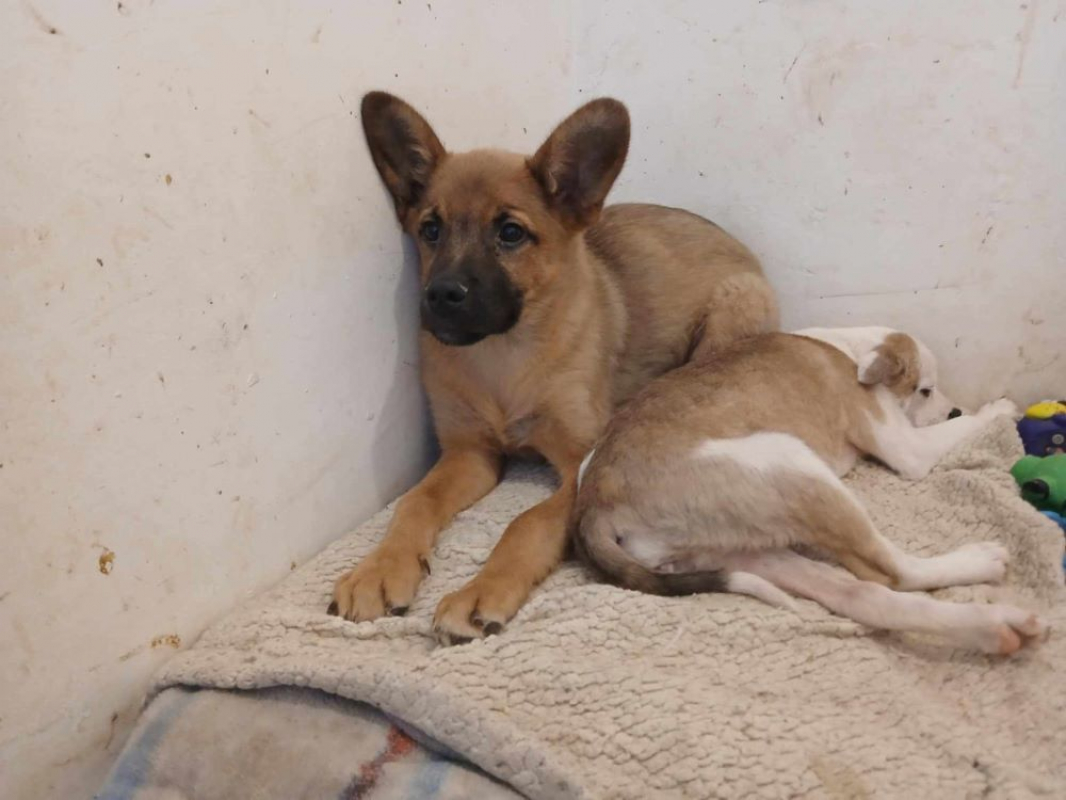 Photo #3 de Toubisou 