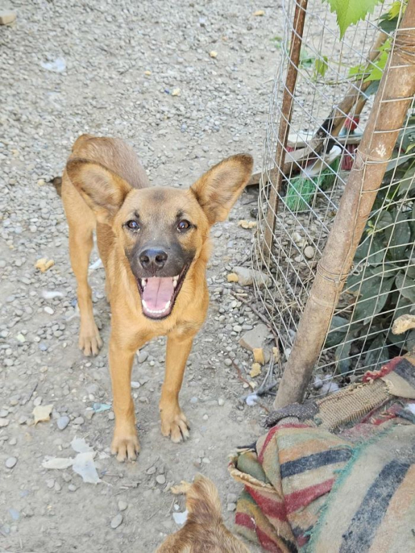 Photo #4 de Toubisou 