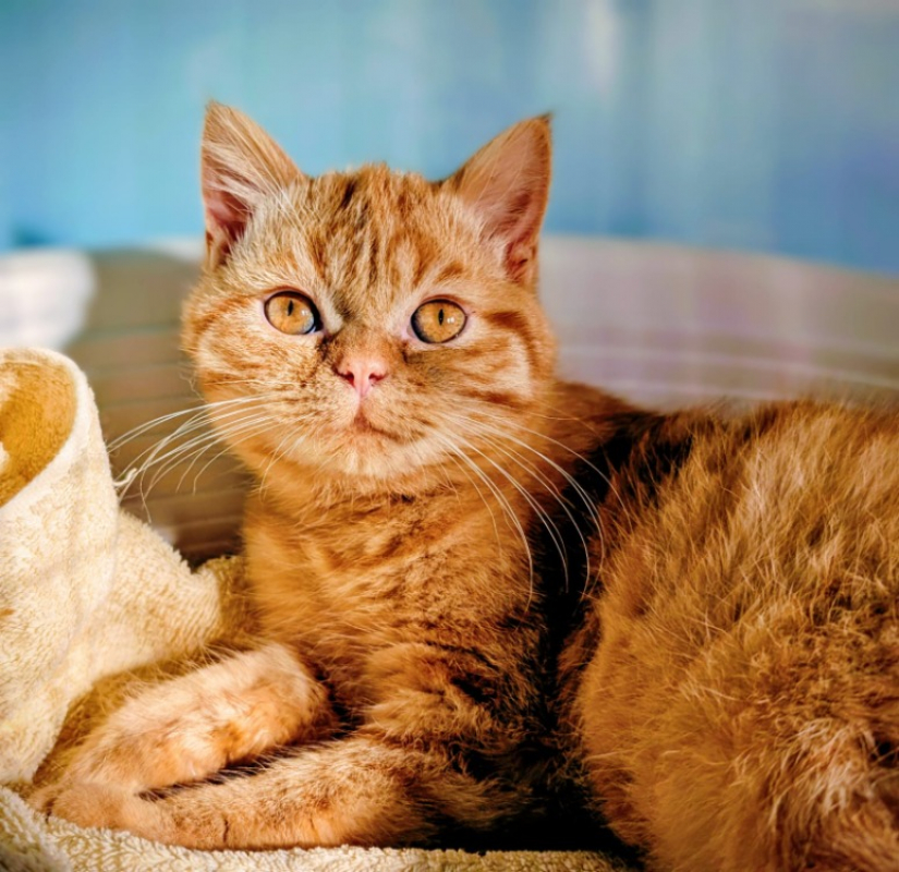 Photo #1 de Zero degre