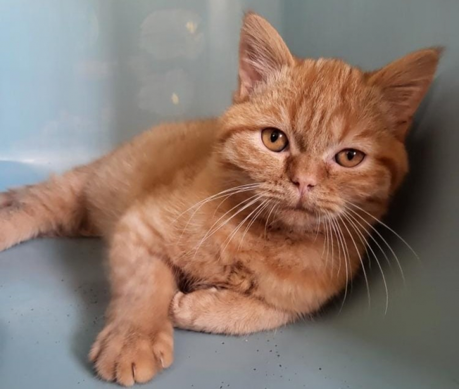 Photo #2 de Zero degre