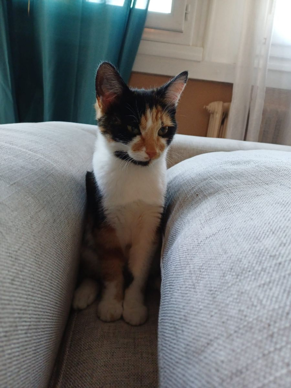 Photo #1 de Louna & Maya