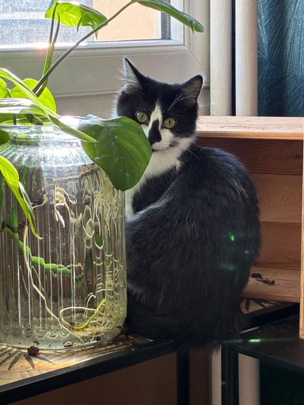 Photo #2 de Louna & Maya