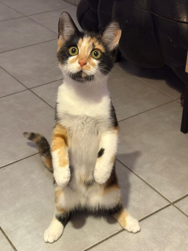 Photo #3 de Louna & Maya