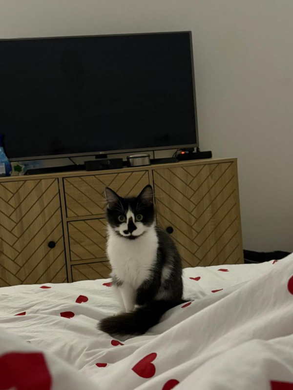 Photo #4 de Louna & Maya