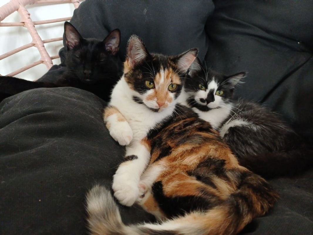 Photo #5 de Louna & Maya