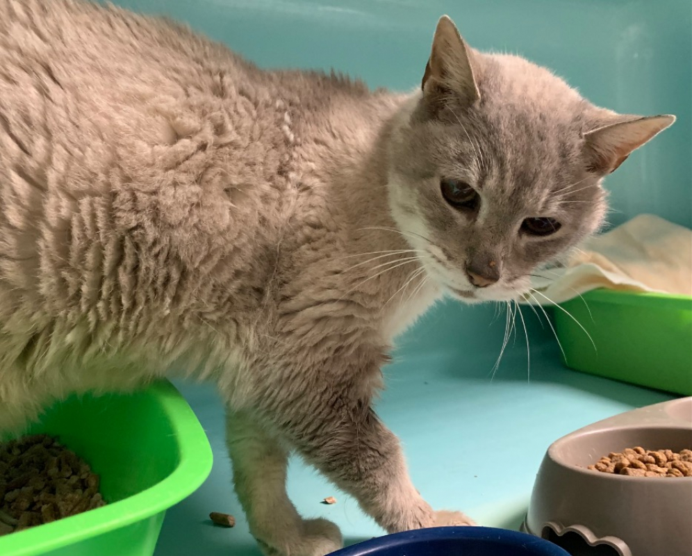 Photo #1 de Christmas