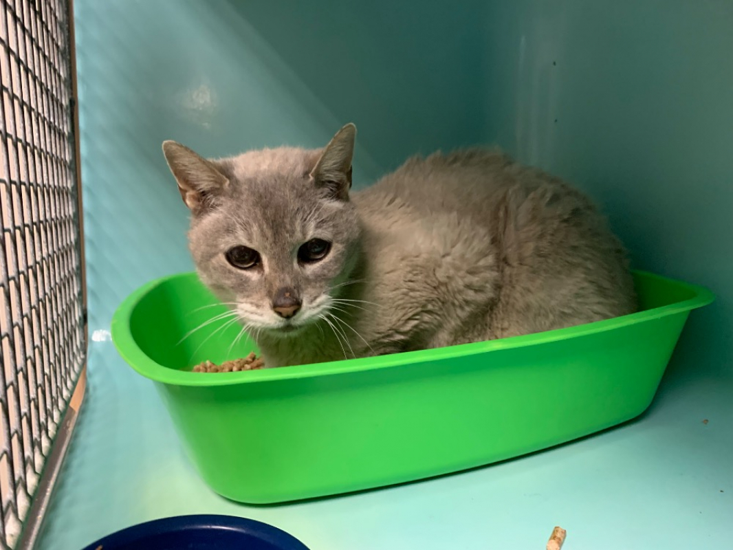 Photo #2 de Christmas