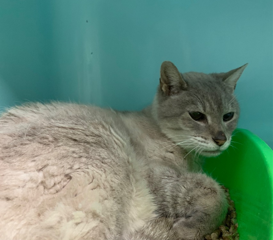 Photo #3 de Christmas