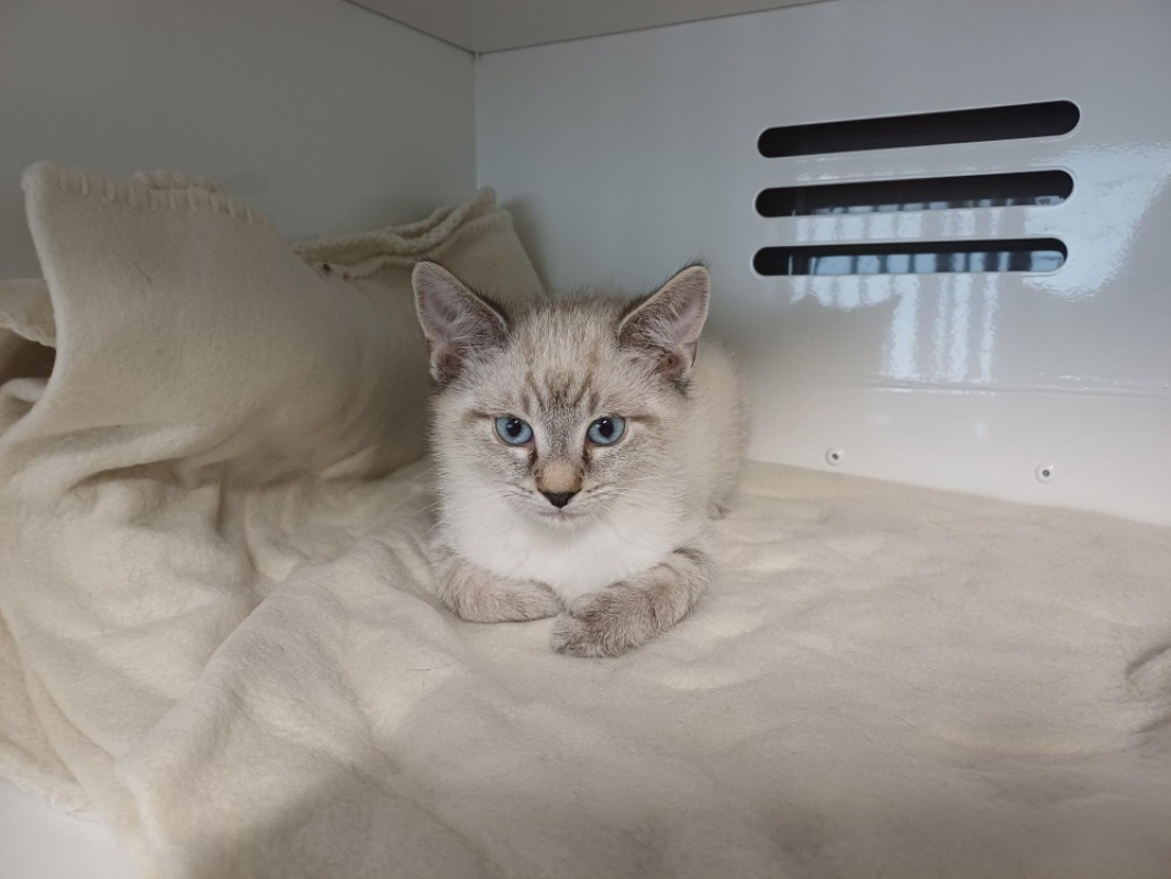 Photo #1 de Hugo réservé