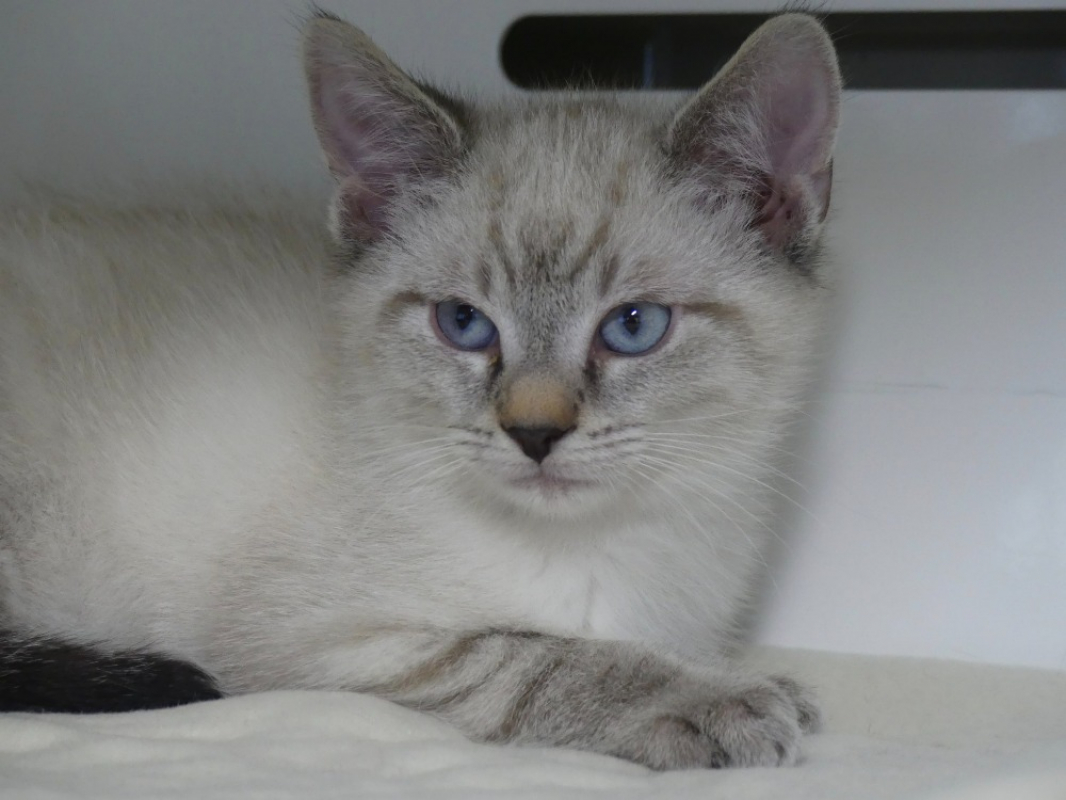 Photo #2 de Hugo réservé