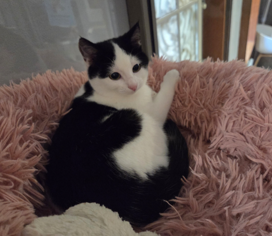 Photo #1 de AthenaÏs