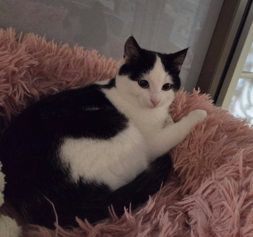 Photo #2 de AthenaÏs