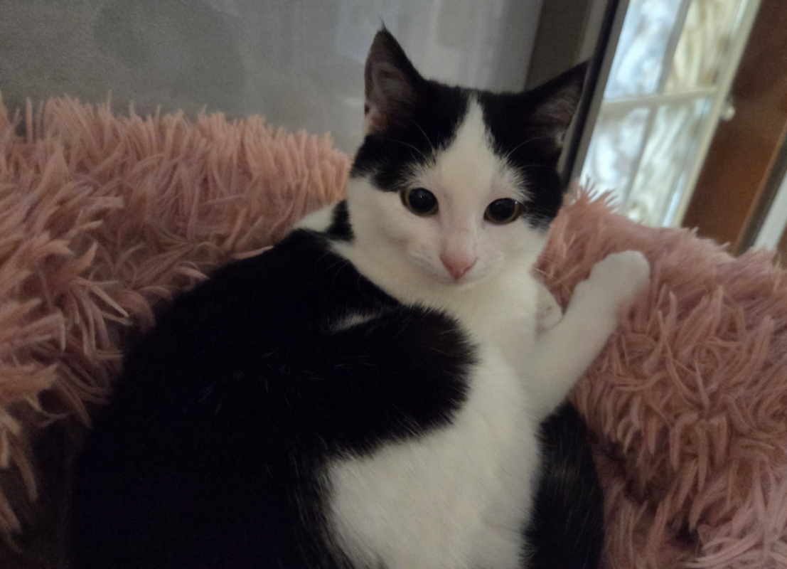 Photo #3 de AthenaÏs