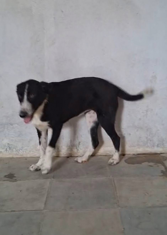 Photo #8 de Thelma