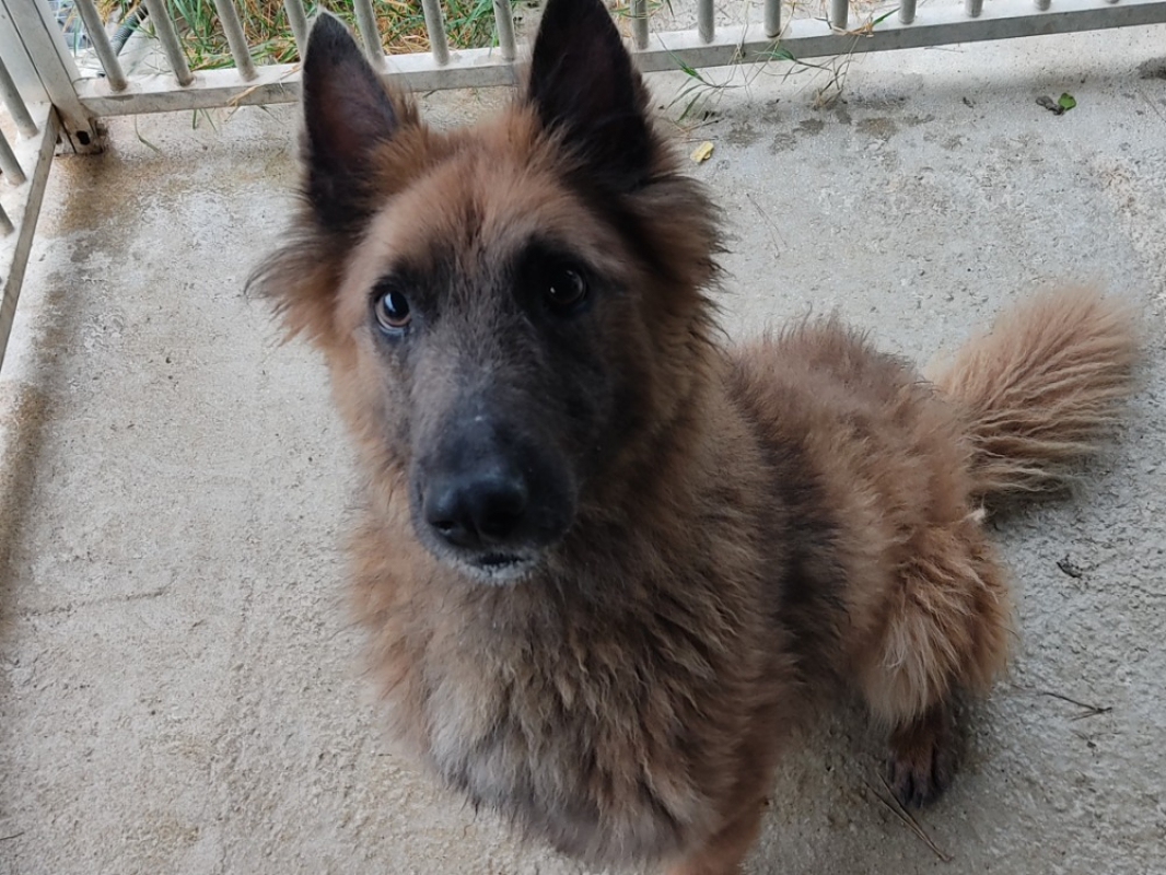 Photo de Teddy