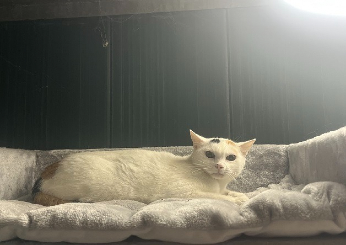 Photo de Claqueporte