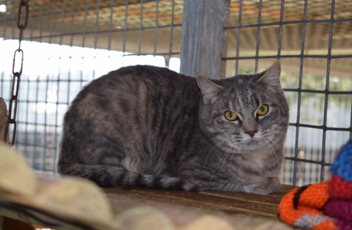 Photo #2 de Mary kate