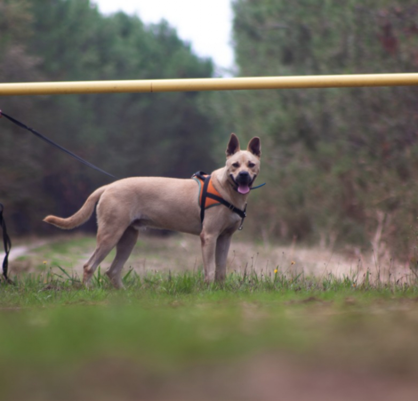 Photo #6 de Jumpy
