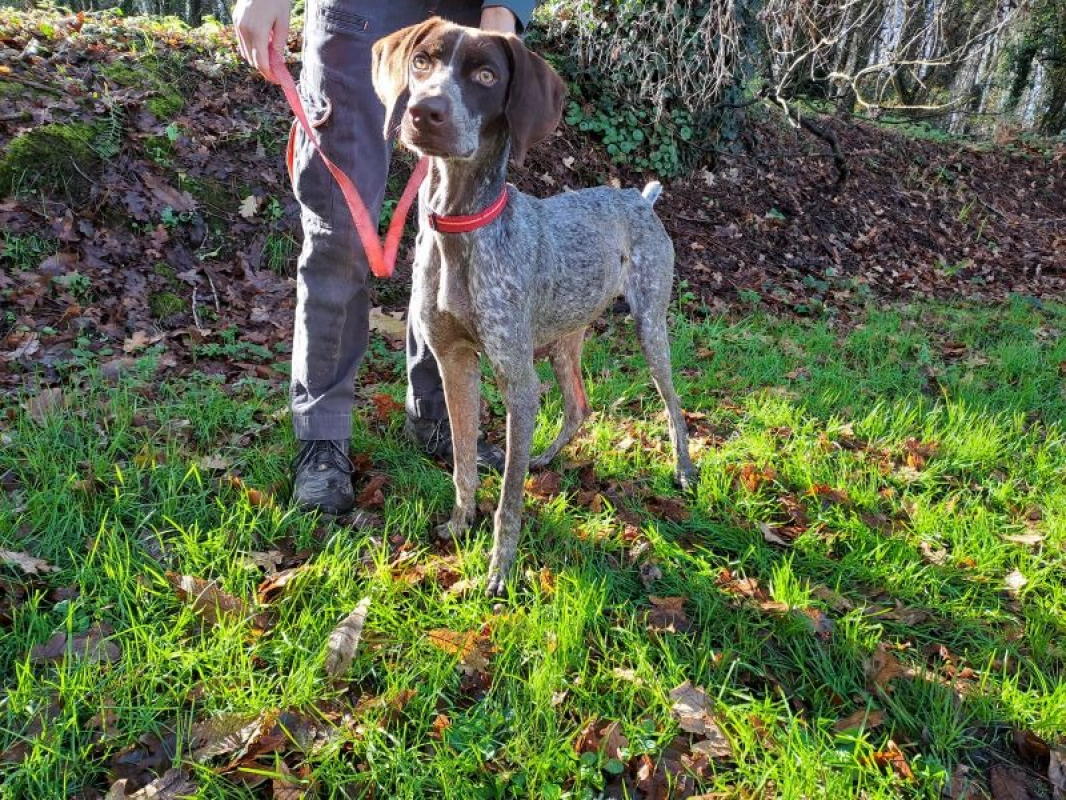 Photo #1 de Falbala réservé