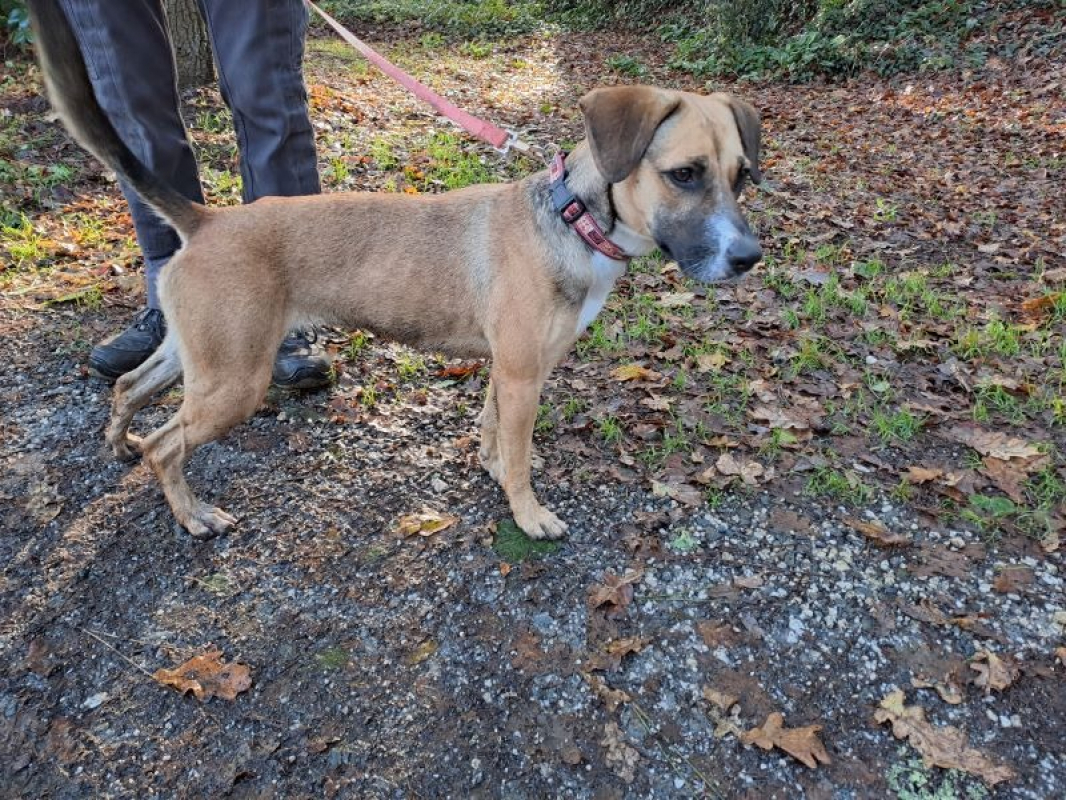 Photo #1 de Réservé naya