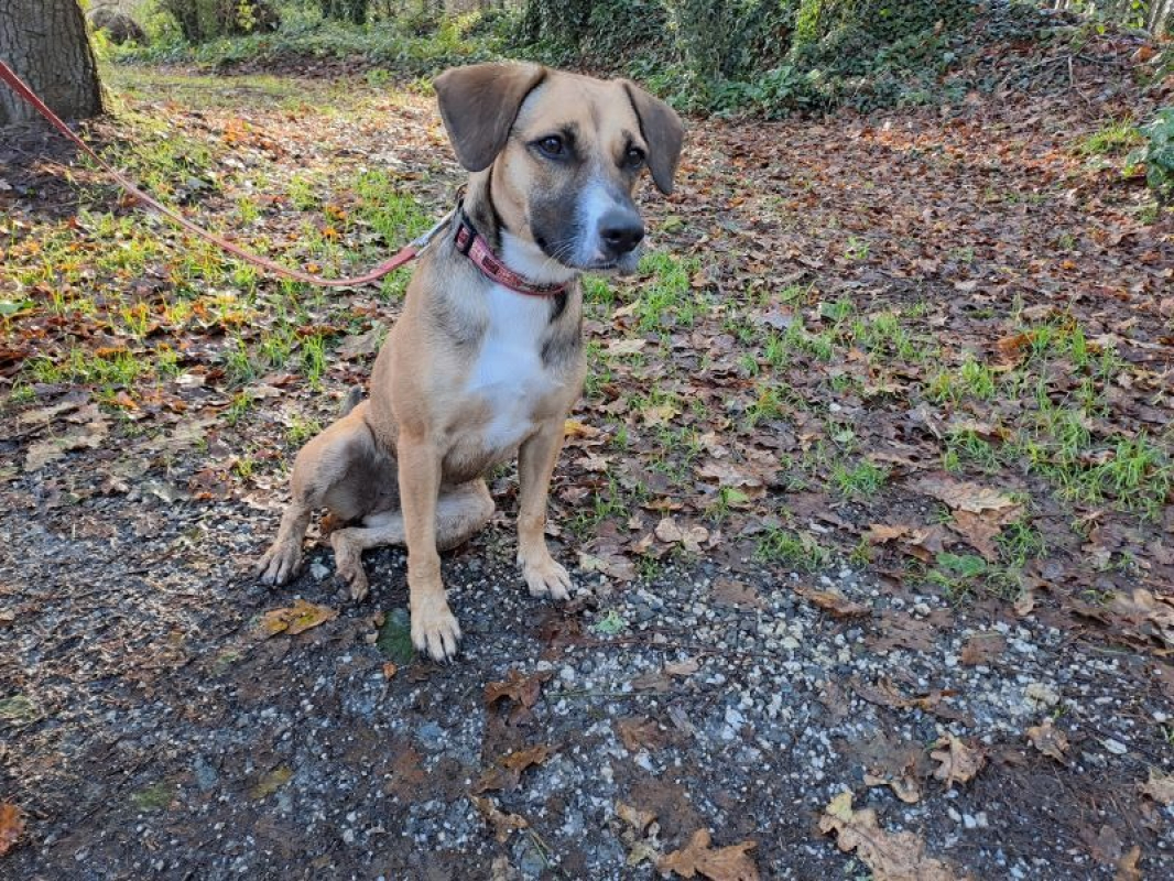 Photo #2 de Réservé naya