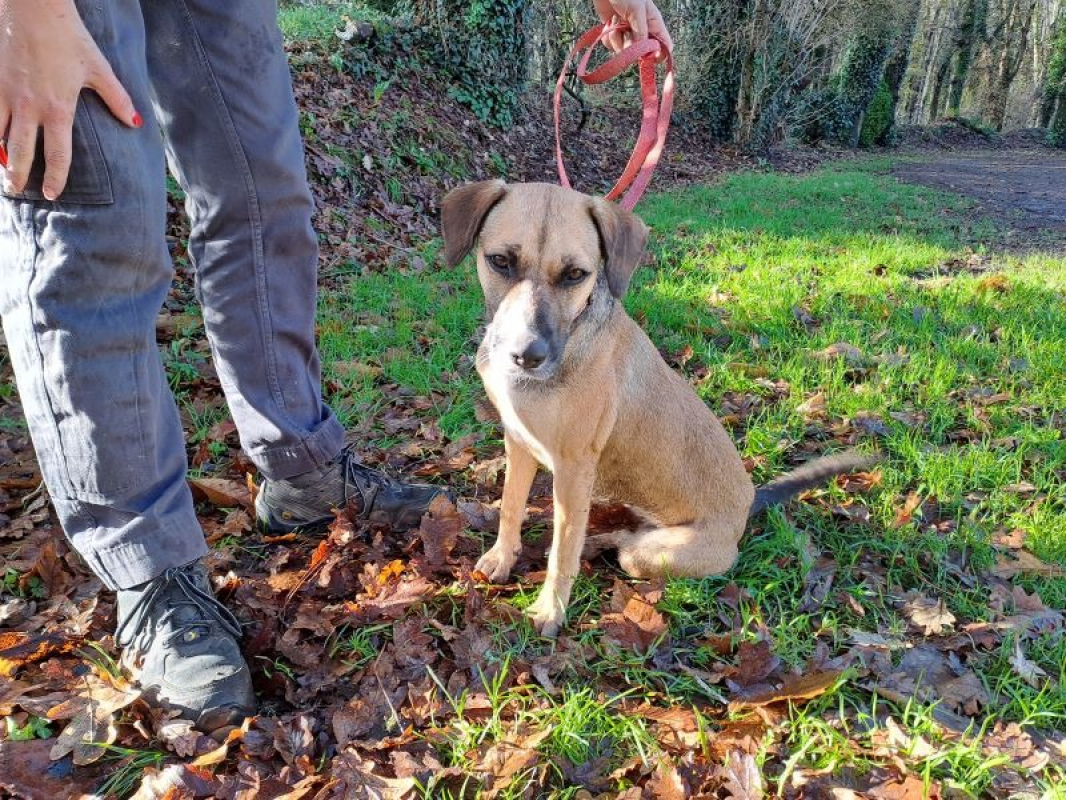 Photo #3 de Réservé naya